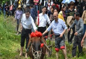 第三届培田春耕节暨南山书院揭牌仪式